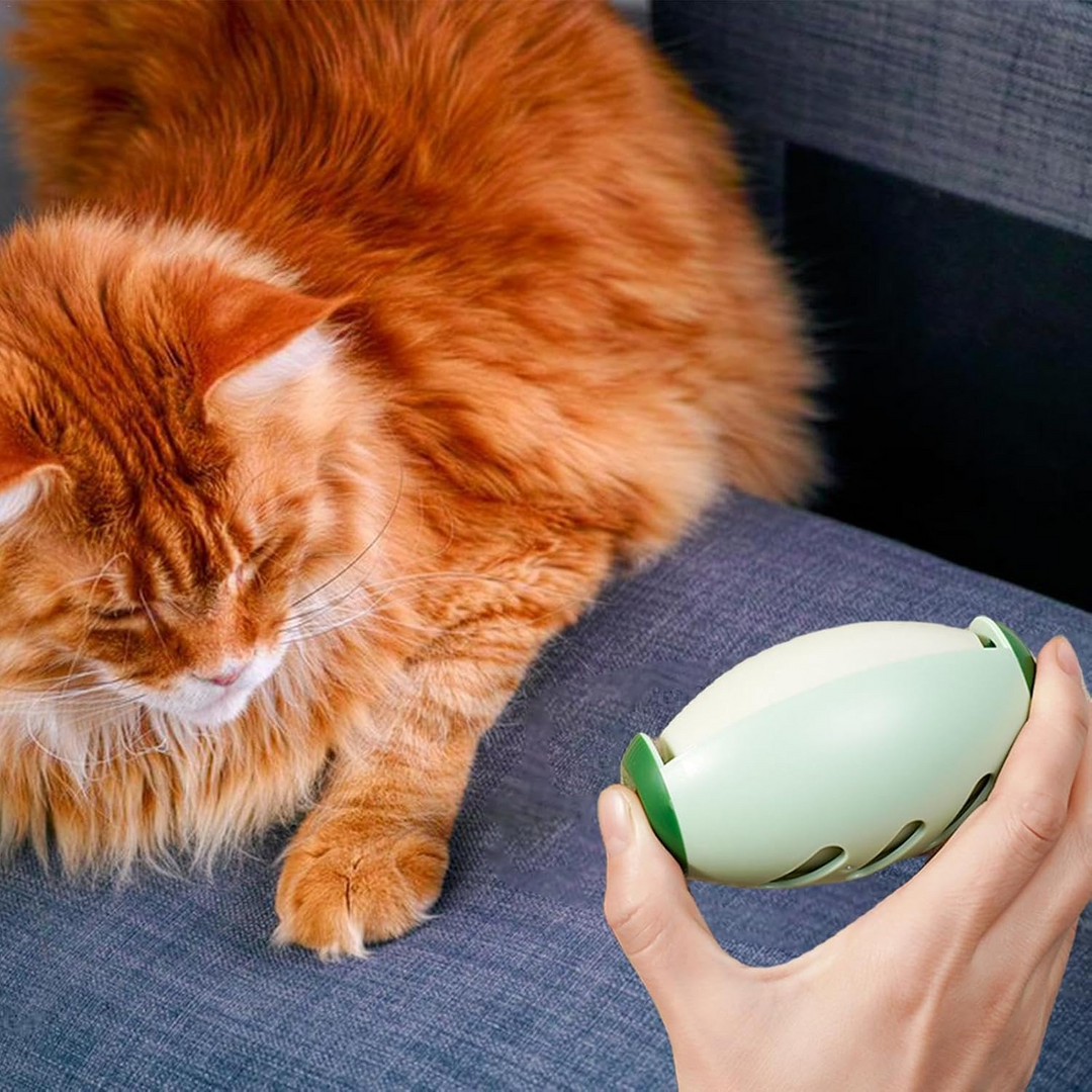 Lisslune | Sticky reusable pet hair remover Mini, eco-friendly & effective
