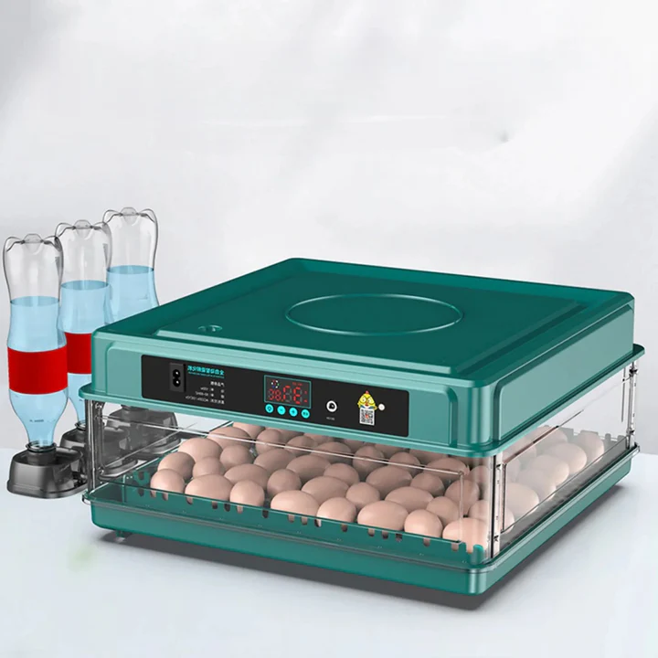 Lisslune | Digital Egg Incubator with Adjustable Tray