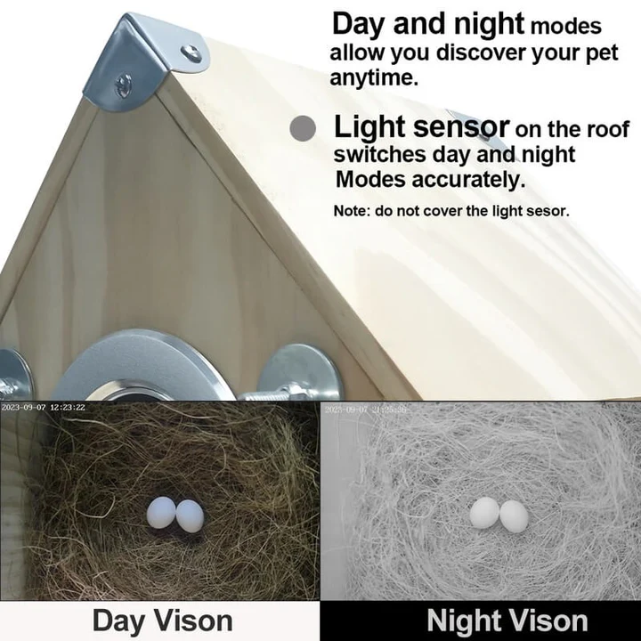 Lisslune | Bird Watching Nesting Feeder Nest