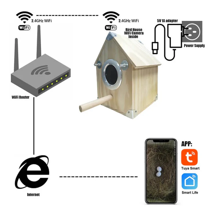 Lisslune | Bird Watching Nesting Feeder Nest