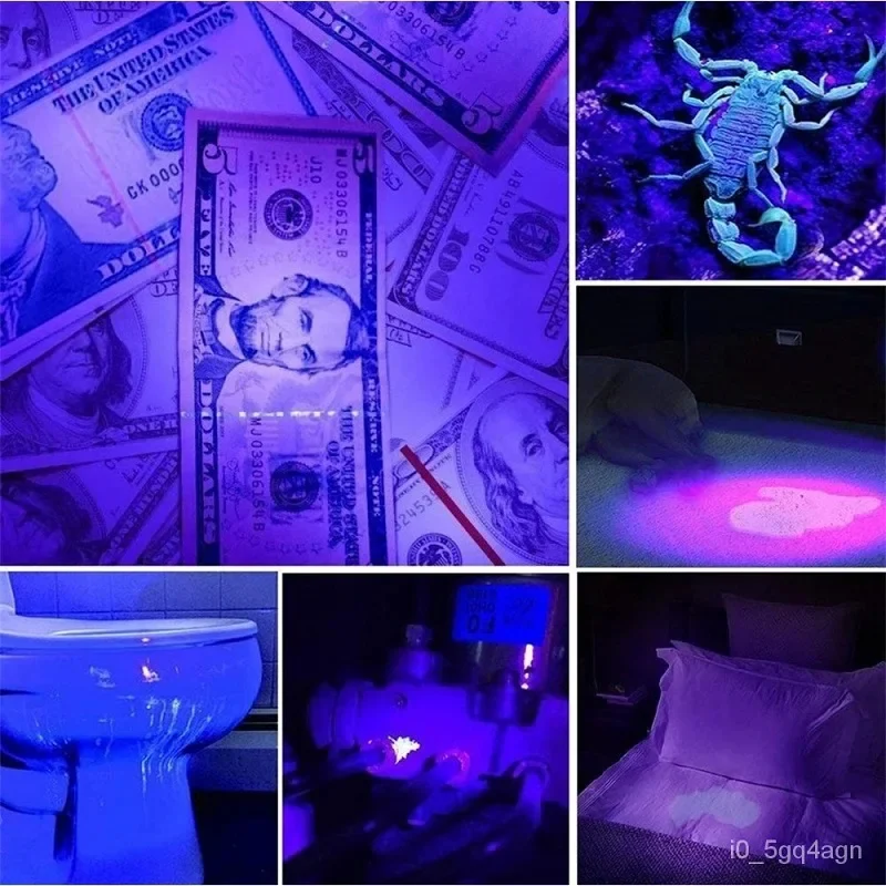 Lisslune | UV Flashlight for Bed Bug Detection and Stain Finder