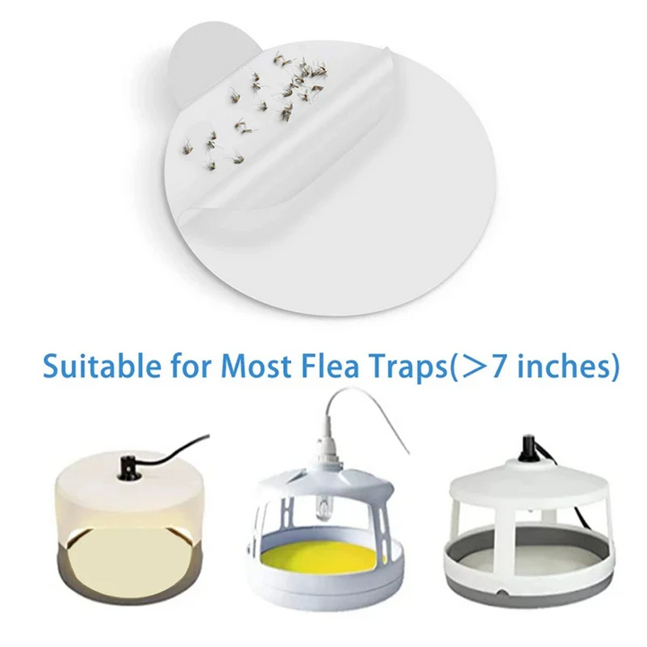 Lisslune | Sticky Bed Bug Trap Refill Glue Boards