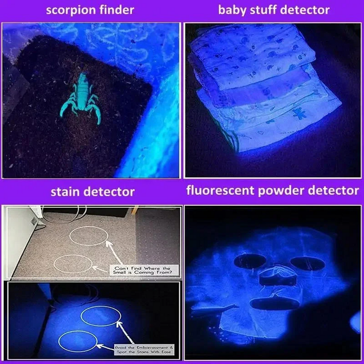 Lisslune | Black Light Flashlight