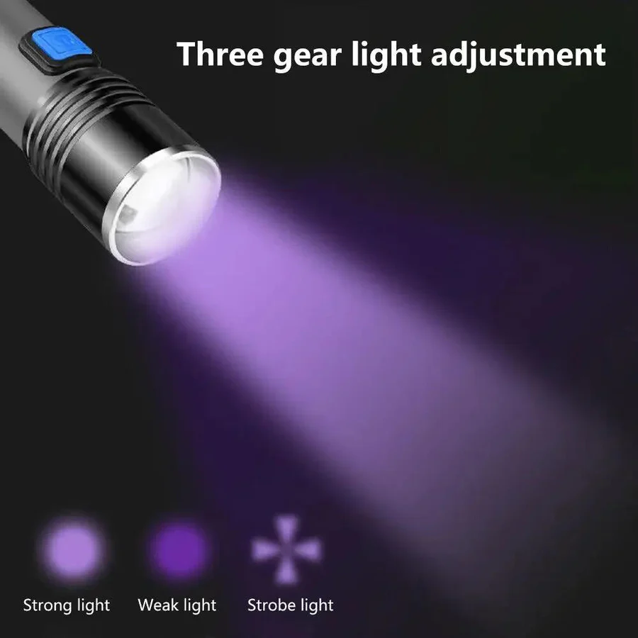 Lisslune | Black Light Flashlight
