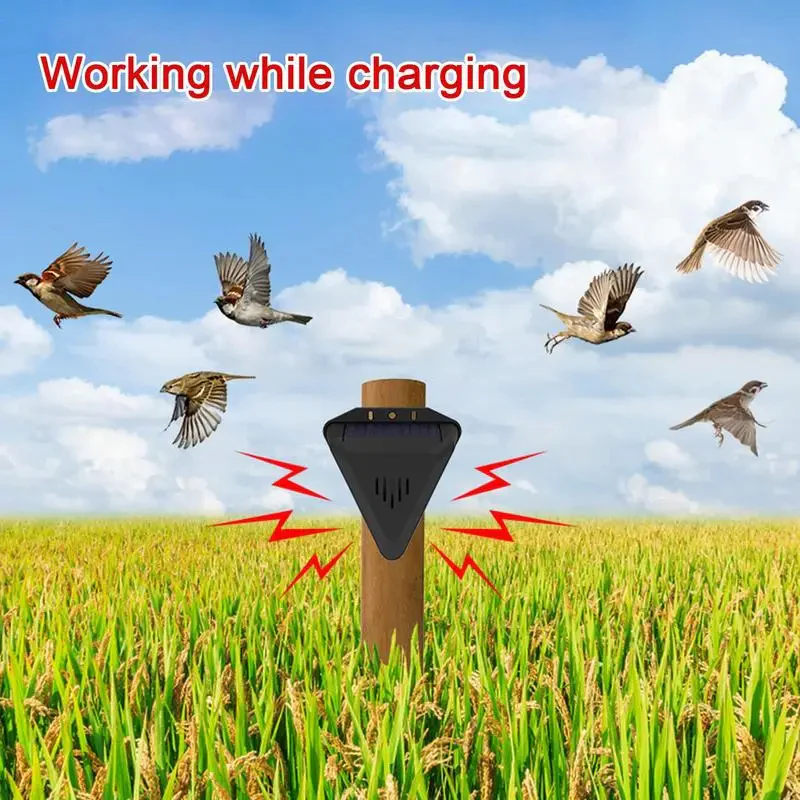 Lisslune | Solar Outdoor Bird Repeller