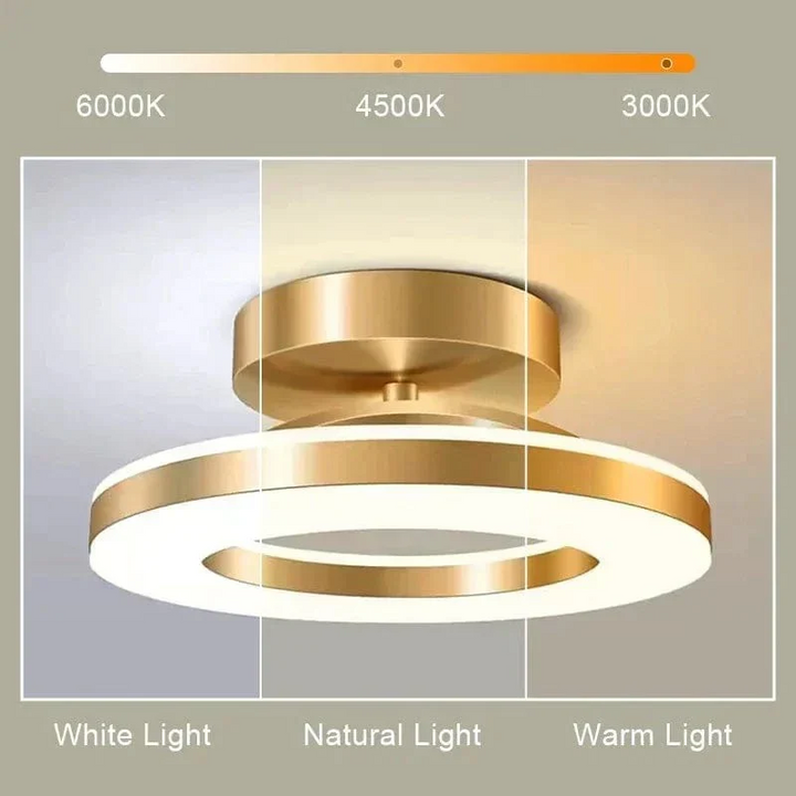 Lisslune | LED Ceiling Light Fixture