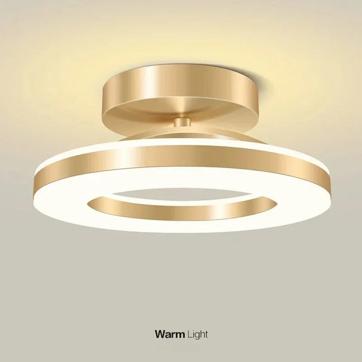 Lisslune | LED Ceiling Light Fixture