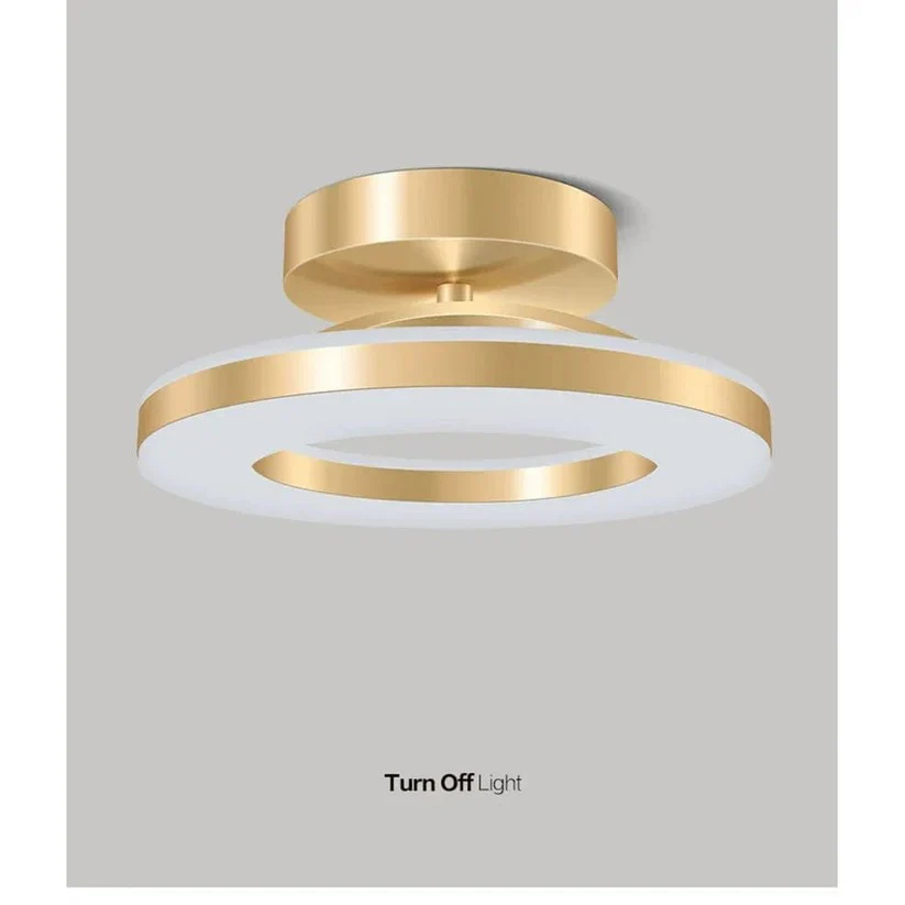 Lisslune | LED Ceiling Light Fixture