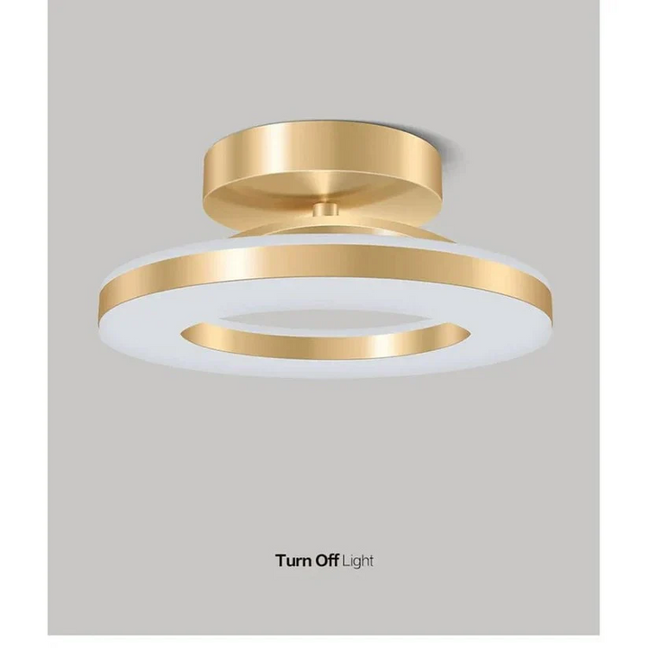 Lisslune | LED Ceiling Light Fixture