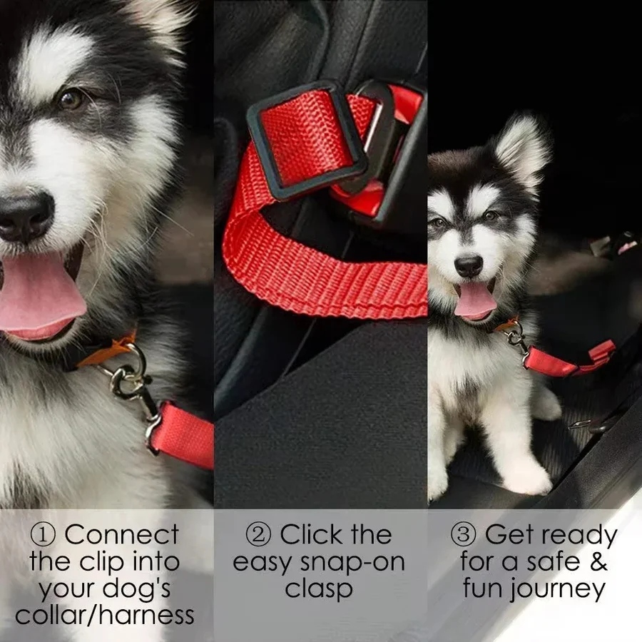 Lisslune | Adjustable Dog Seat Belt