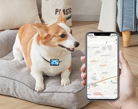 Lisslune | GPS Tracker for Dogs Location Collar