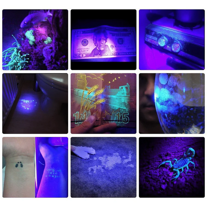 Lisslune | Compact UV Blacklight Flashlight for Inspection and Cleaning Checks