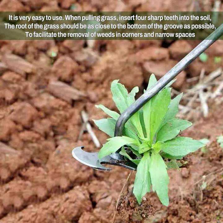 Lisslune | Weed Tool Remover
