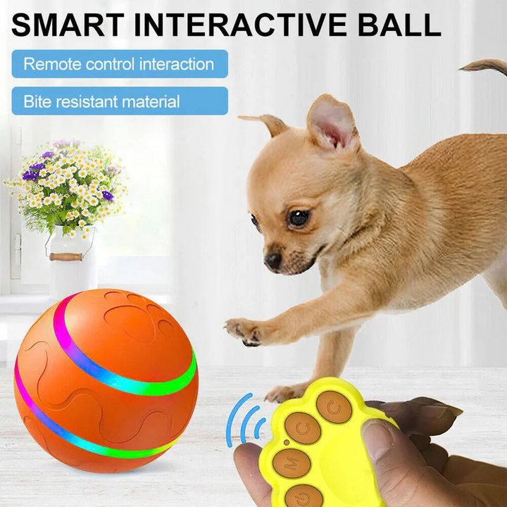 Lisslune | Interactive Dog and Cat Ball Toy
