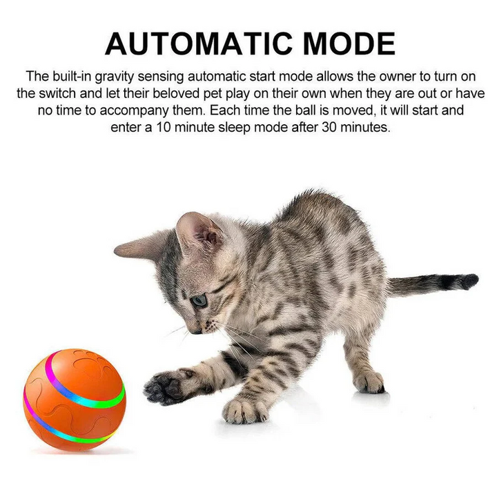 Lisslune | Interactive Dog and Cat Ball Toy