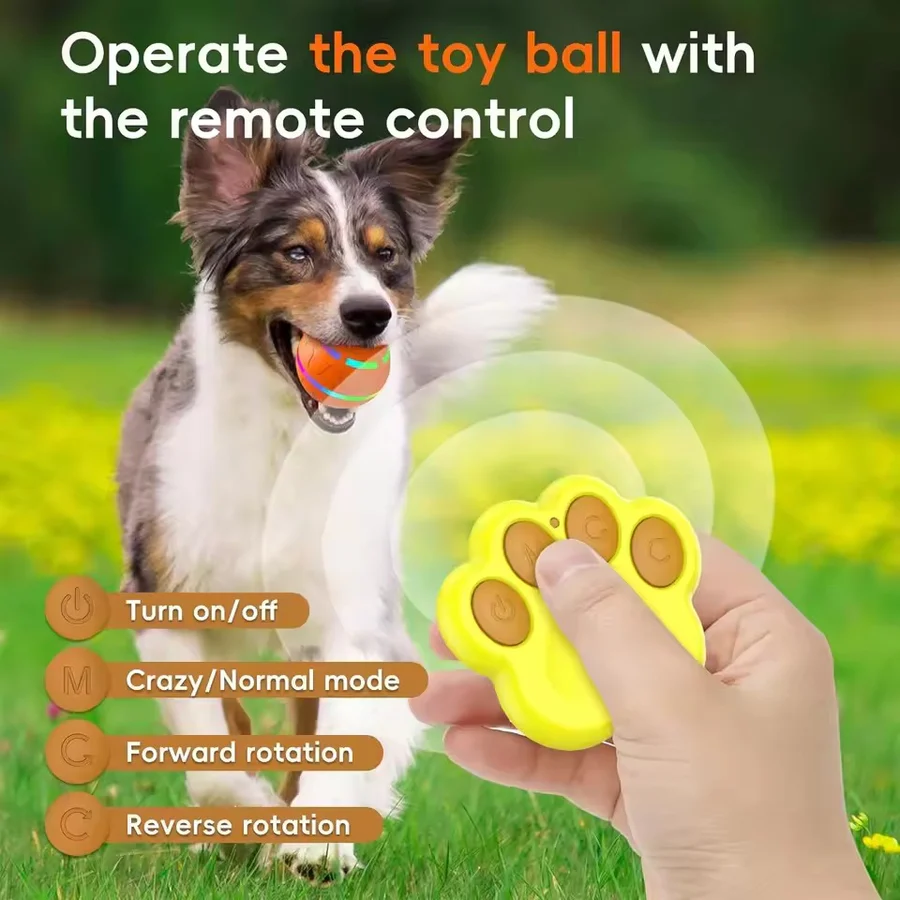 Lisslune | Interactive Dog and Cat Ball Toy