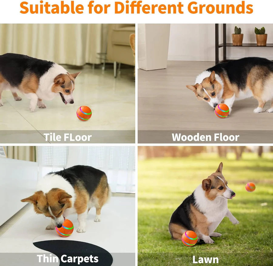 Lisslune | Interactive Dog and Cat Ball Toy