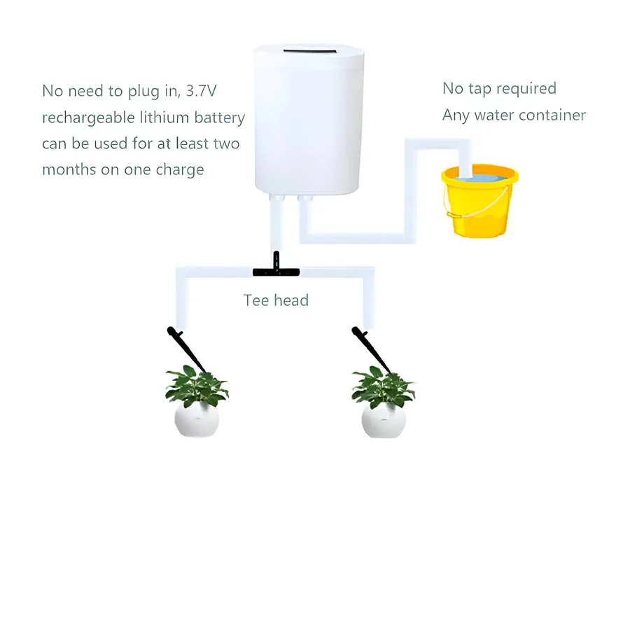 Lisslune | Automatic Watering Pump Controller