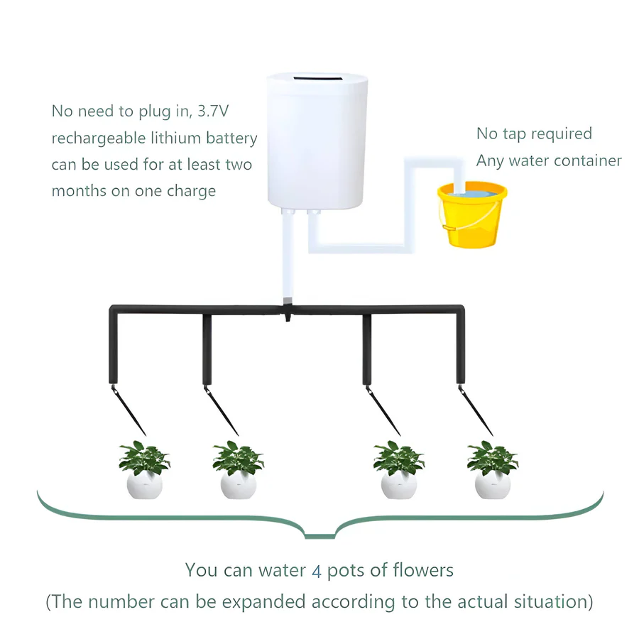 Lisslune | Automatic Watering Pump Controller