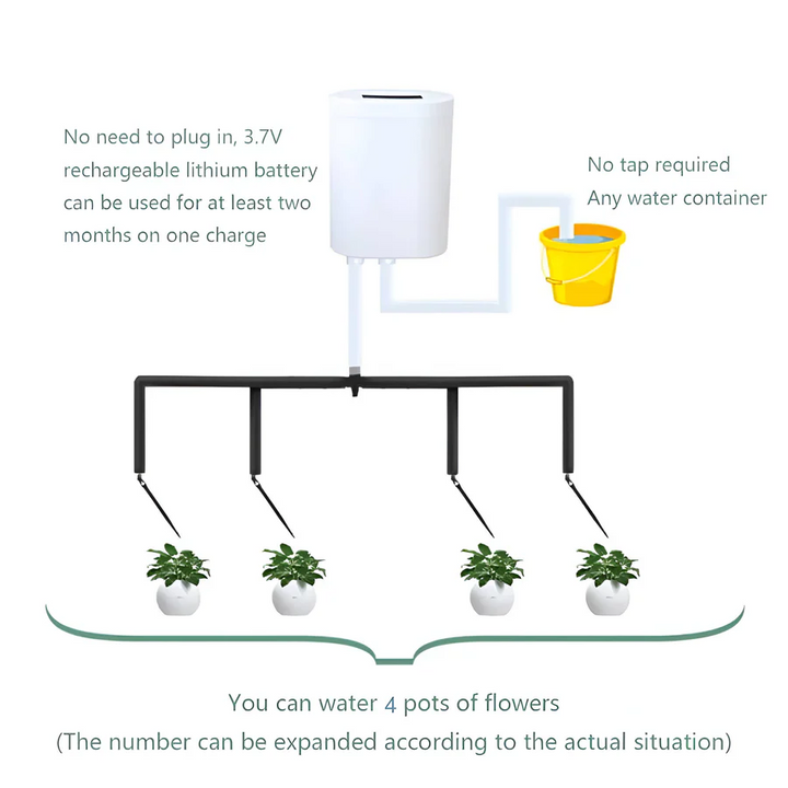 Lisslune | Automatic Watering Pump Controller