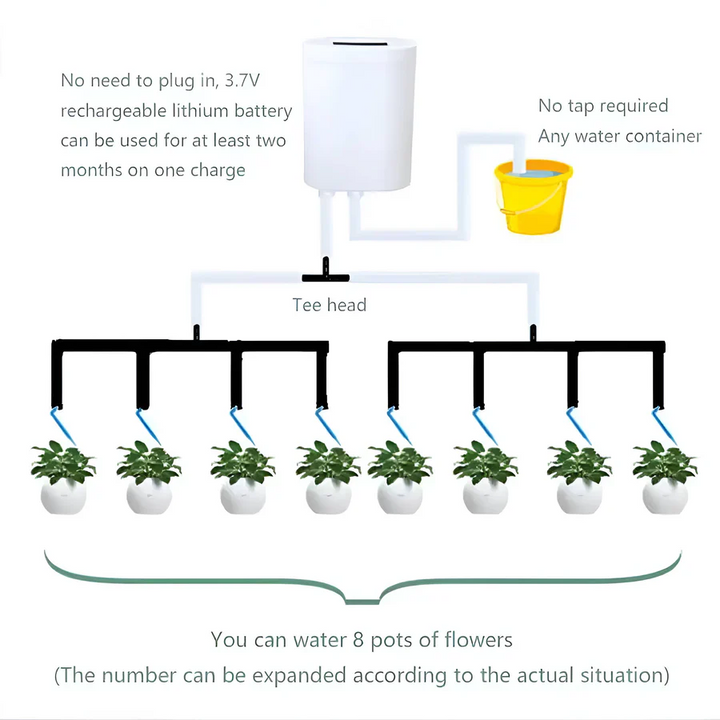Lisslune | Automatic Watering Pump Controller
