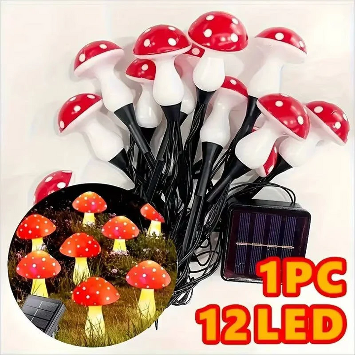 Lisslune | LED Solar Lights Outdoor Decorative
