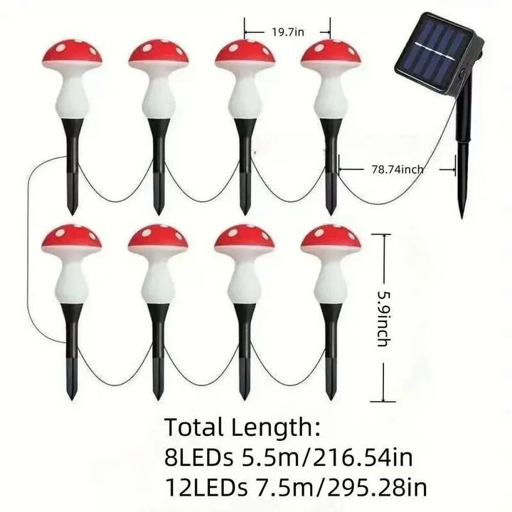 Lisslune | LED Solar Lights Outdoor Decorative