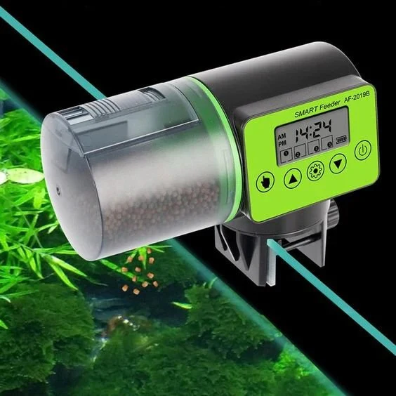 Lisslune | Automatic Fish Feeder