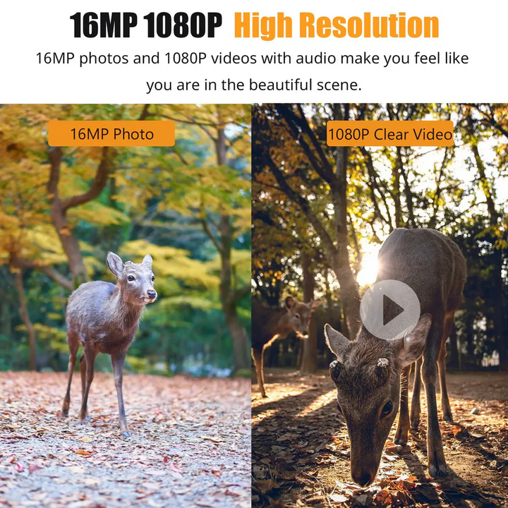 Lisslune | 1080P Night Vision Trail Camera with Motion Detection