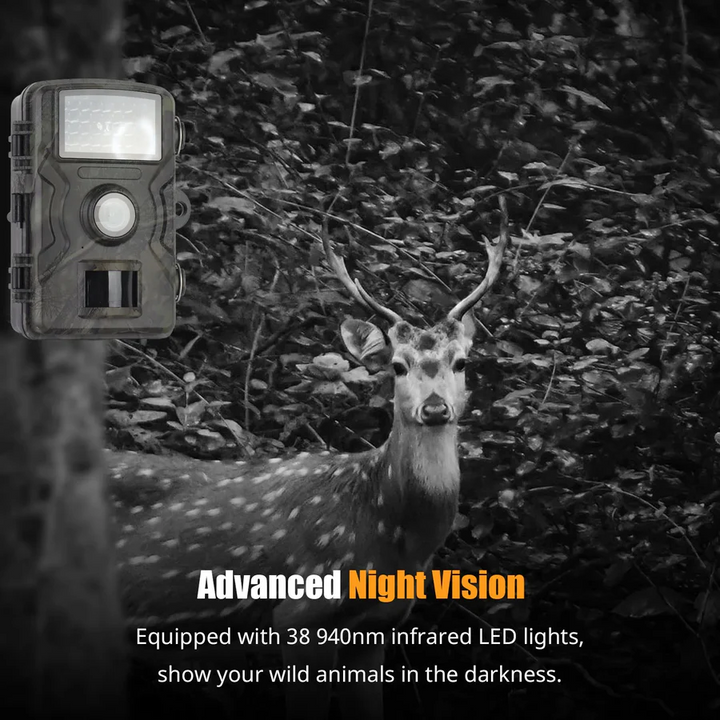Lisslune | 1080P Night Vision Trail Camera with Motion Detection