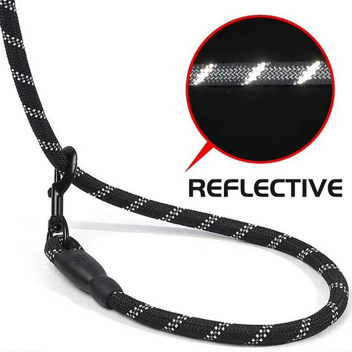 Lisslune | Reflective Dog Leash with Comfortable Padded Handle
