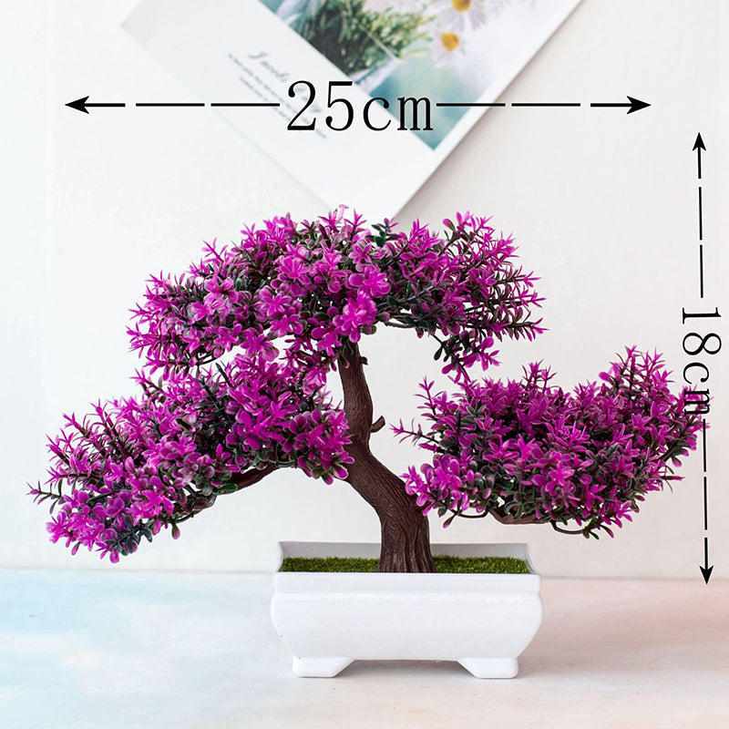 Lisslune | Plant Bonsai