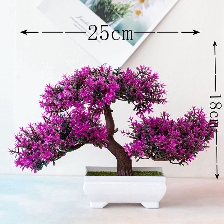 Lisslune | Plant Bonsai
