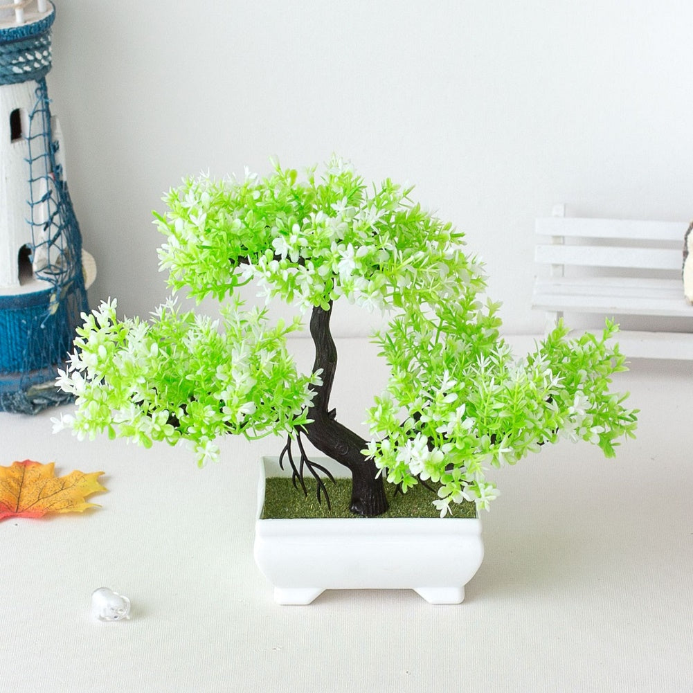Lisslune | Plant Bonsai