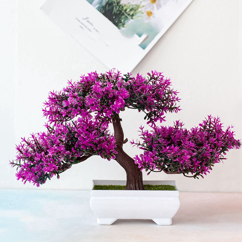 Lisslune | Plant Bonsai