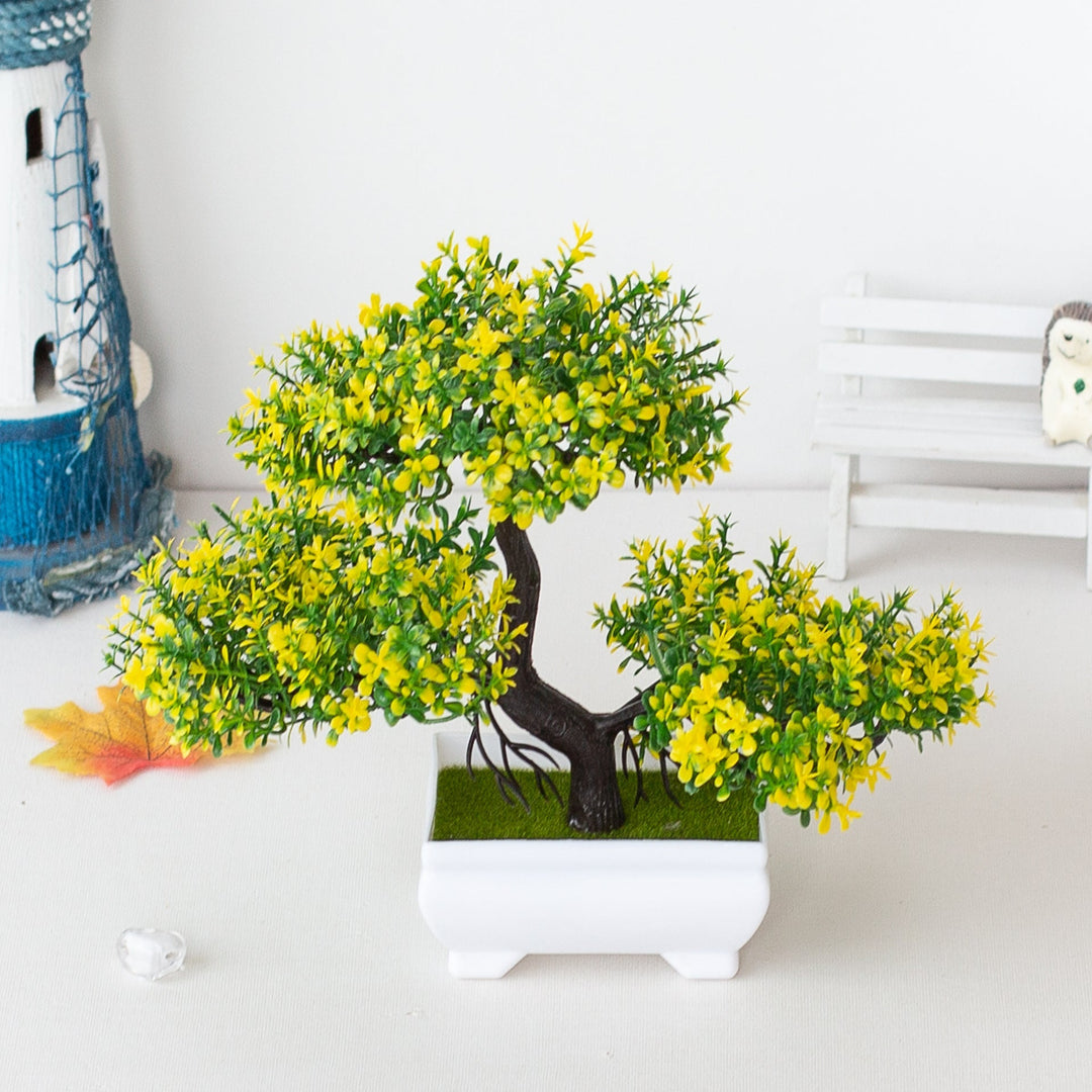 Lisslune | Plant Bonsai