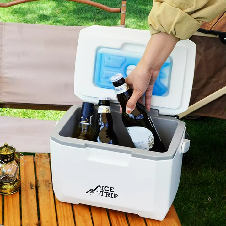 Lisslune | Compact 5L Compressor Freezer Fridge for Camping and Travel