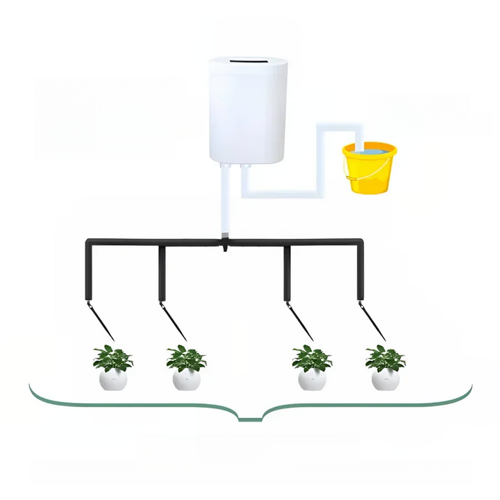 Lisslune | Automatic Watering Pump Controller