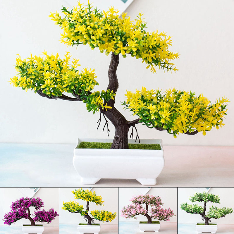 Lisslune | Plant Bonsai