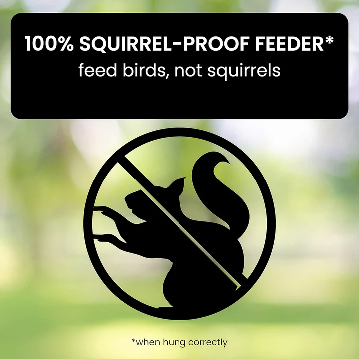 Lisslune | Squirrel-Proof Bird Feeder