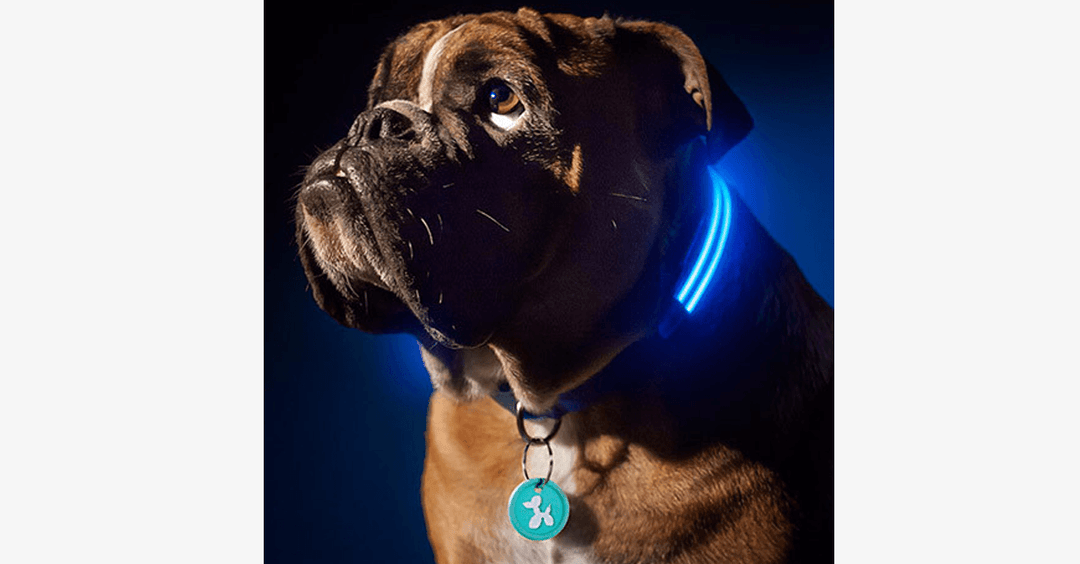 Lisslune | LED Dog Collar – Keep an eye on your pet!