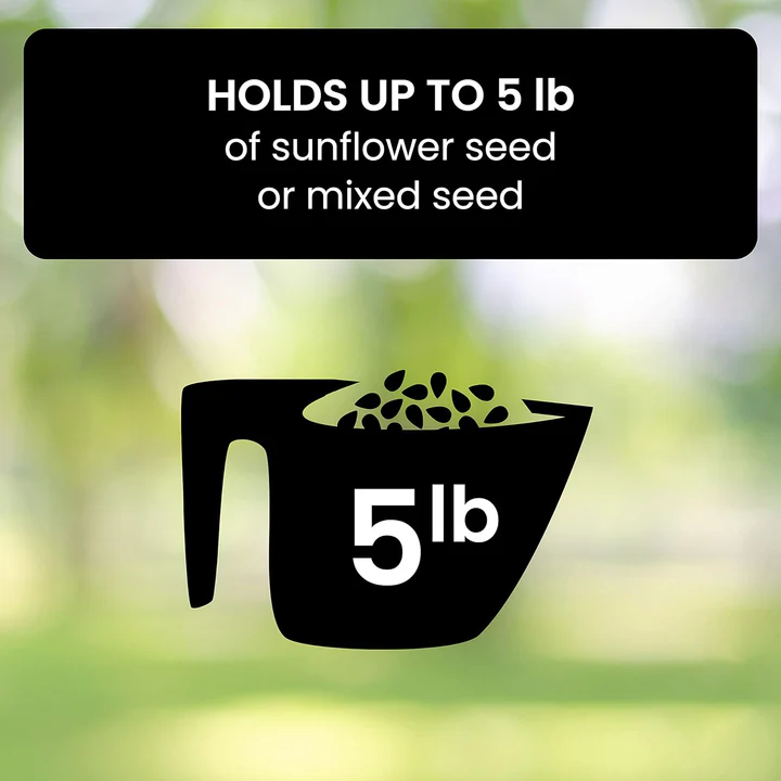 Lisslune | Squirrel-Proof Bird Feeder