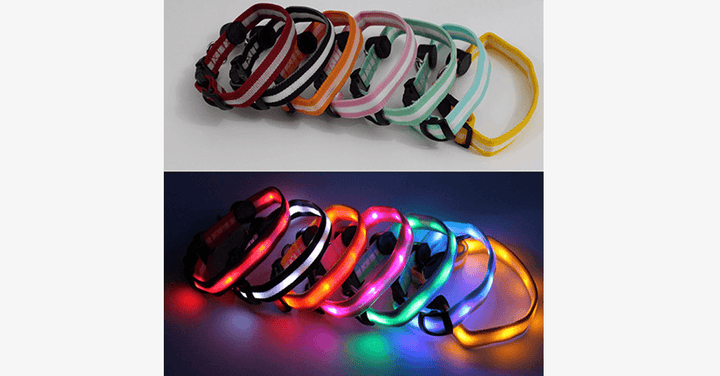 Lisslune | LED Dog Collar – Keep an eye on your pet!