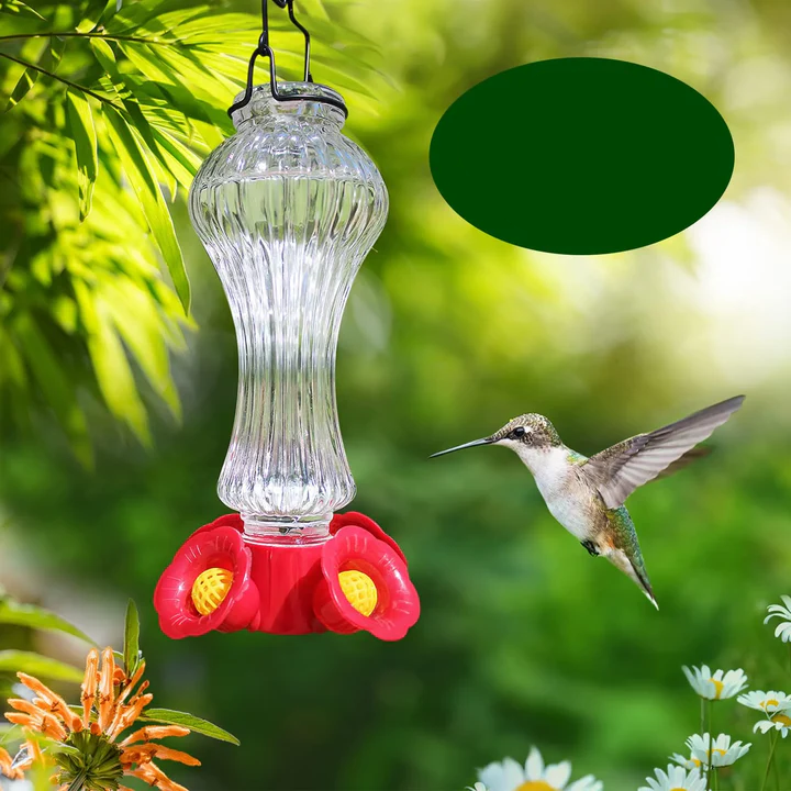 Lisslune | Flowers Glass Hummingbird Feeder With Ant Moat
