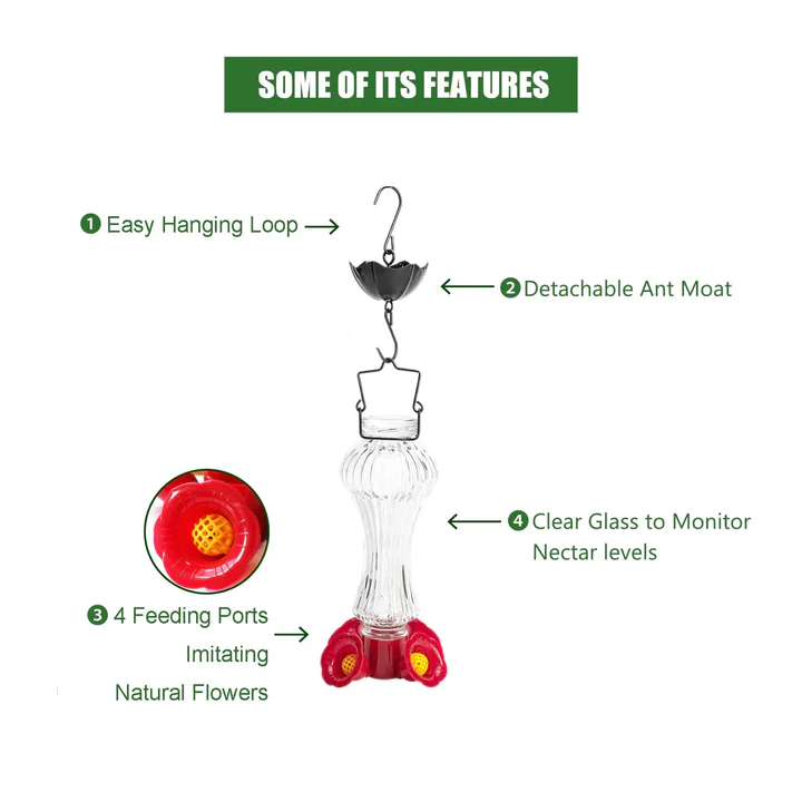 Lisslune | Flowers Glass Hummingbird Feeder With Ant Moat