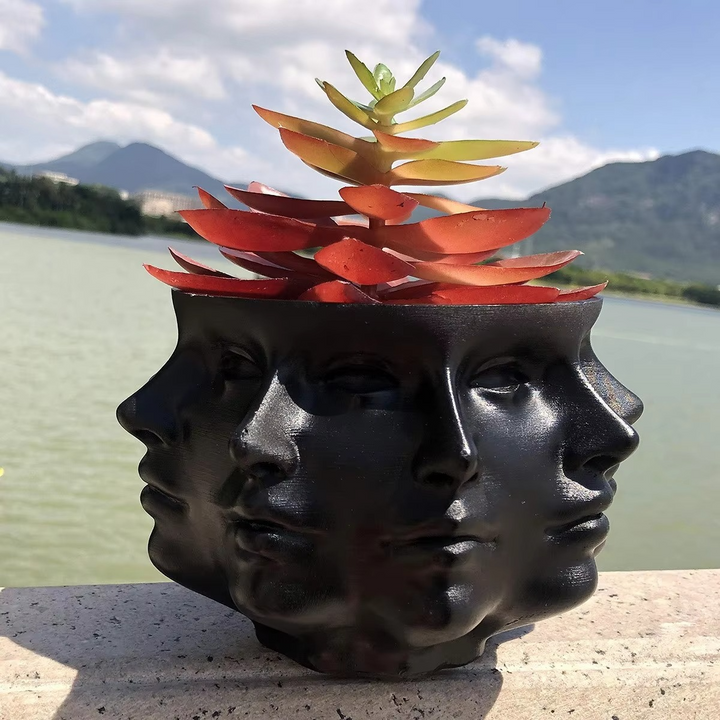 Lisslune | ArtFace 3D Ceramic Plant Pot – Modern Face Design Pot
