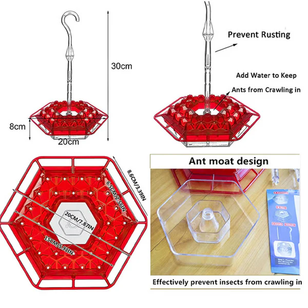 Lisslune | Hummingbird Feeder With Built-In Ant Moat