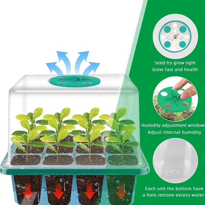 Lisslune | Household New Nursery Pot With Lamp