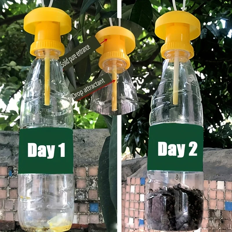 Lisslune | Fruit Fly Trap with Hanging Cover