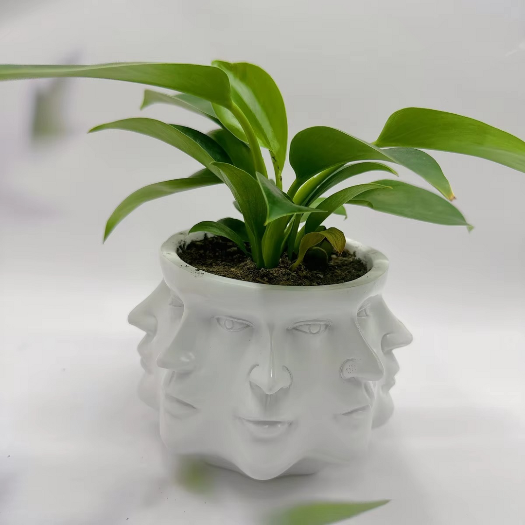 Lisslune | ArtFace 3D Ceramic Plant Pot – Modern Face Design Pot